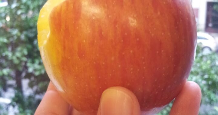 Mis manzanas saben a cuento