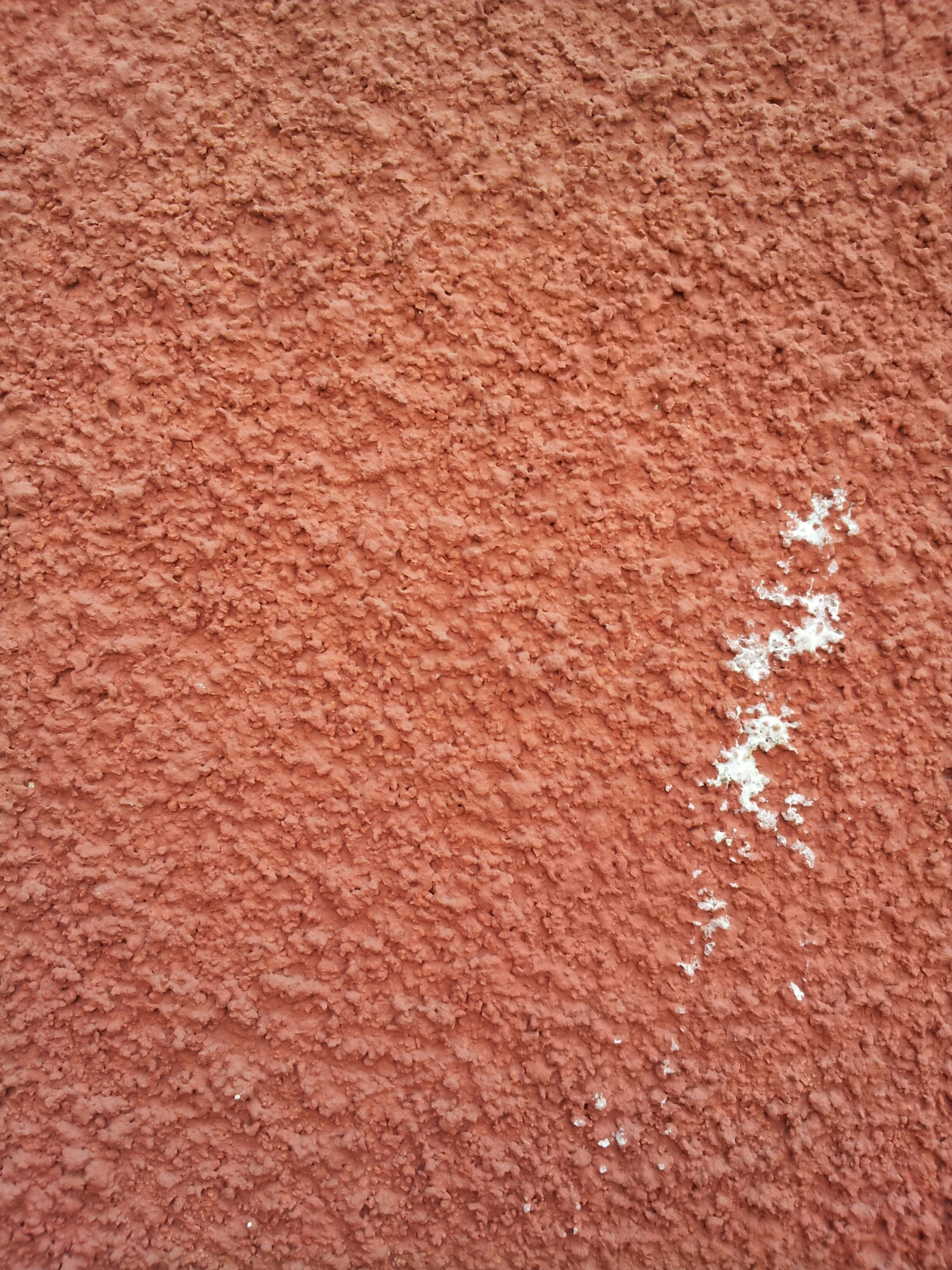 Piel de gallina