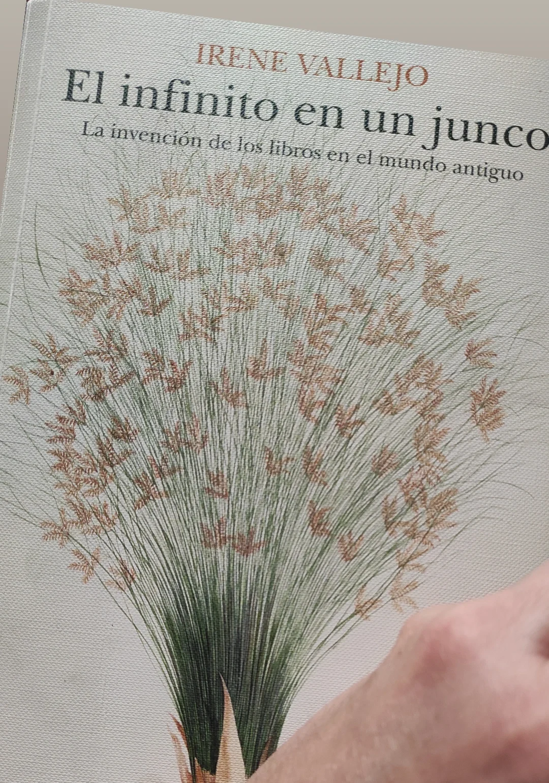 El infinito en un junco, Irene Vallejo