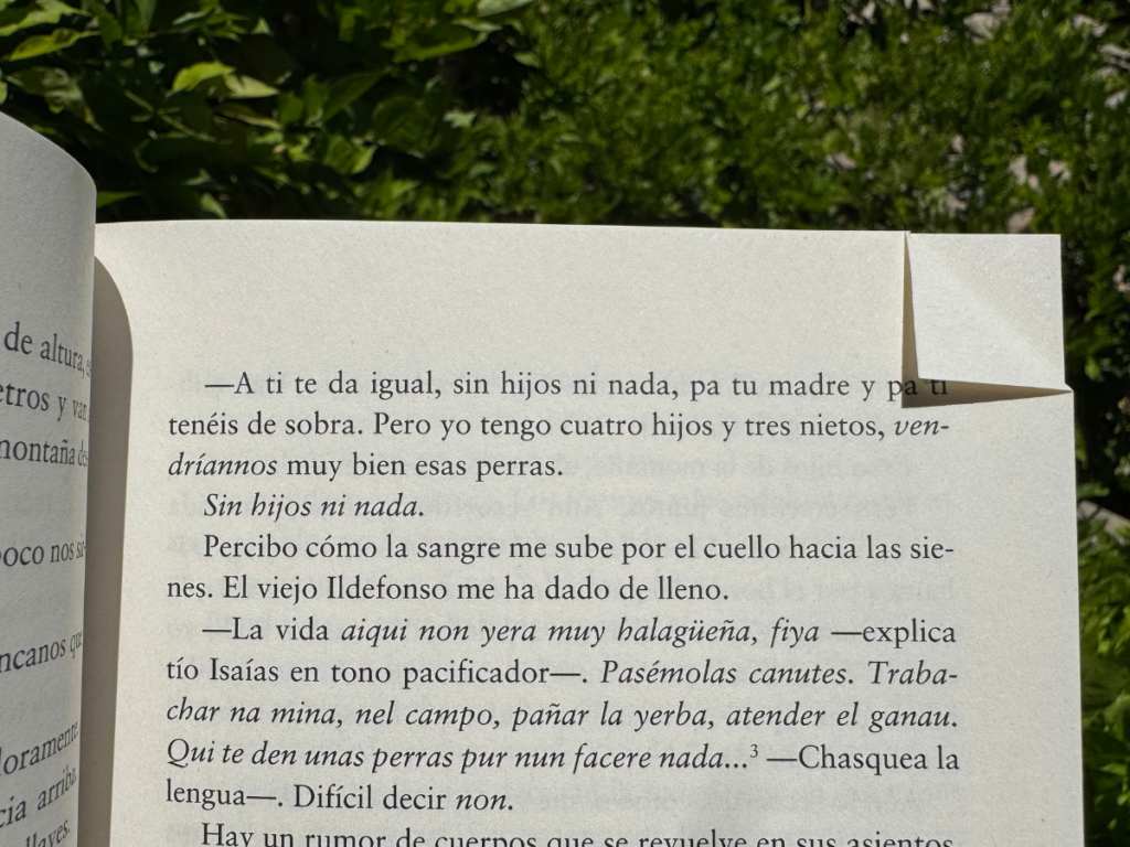 (...) Sin hijos ni nada. (...)
La vida aiqui no yera muy halagüeña, fiya... Subrayado del libro Cordillera.